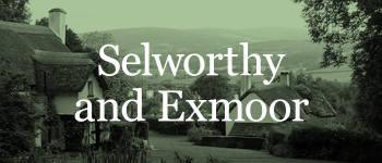 Selworthy and Exmoor